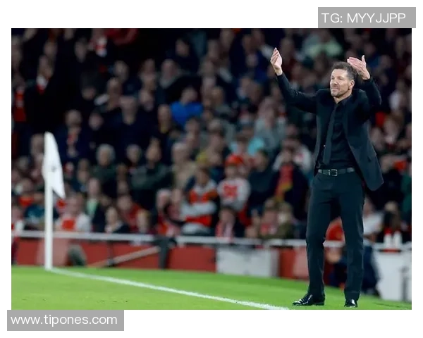 阿森纳足球队5号球星是谁及其在球队中的重要作用分析