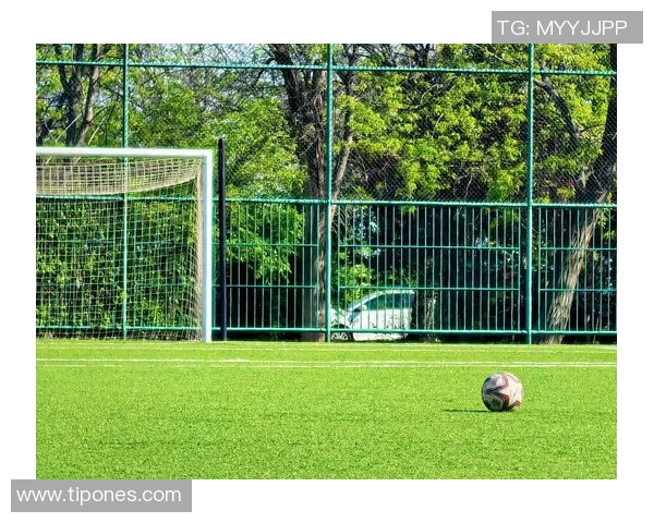 足球巨星之子踏上绿茵场追逐梦想延续父辈辉煌未来