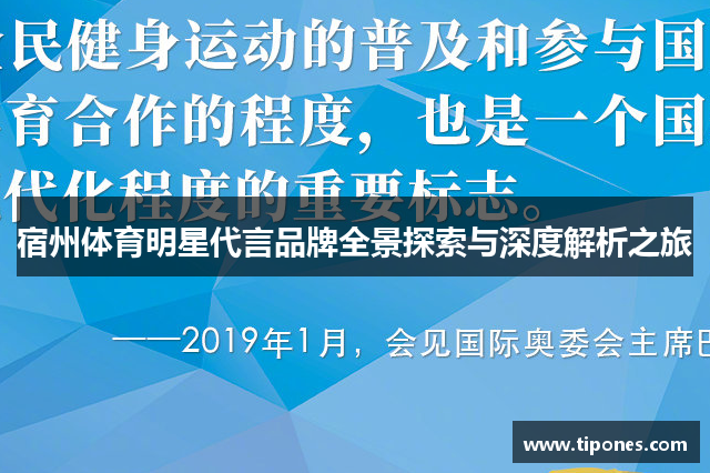 宿州体育明星代言品牌全景探索与深度解析之旅