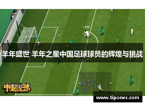 羊年盛世 羊年之星中国足球球员的辉煌与挑战