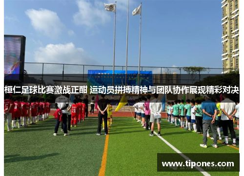 桓仁足球比赛激战正酣 运动员拼搏精神与团队协作展现精彩对决